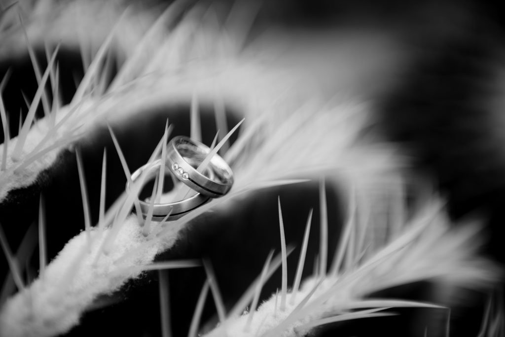 Hochzeitsfotograf Winnenden Hochzeitsreportagemit Julia und Raph