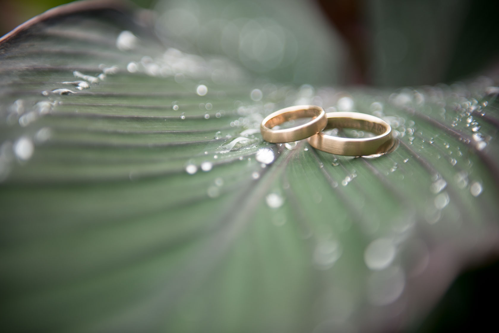 Hochzeitsfotograf in Winterbach mit Lena und Chris