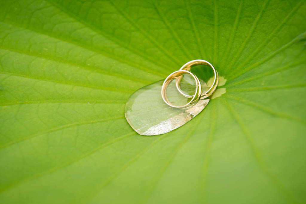 Hochzeitsfotograf in Stuttgart und Fellbach unterwegs mit Michae