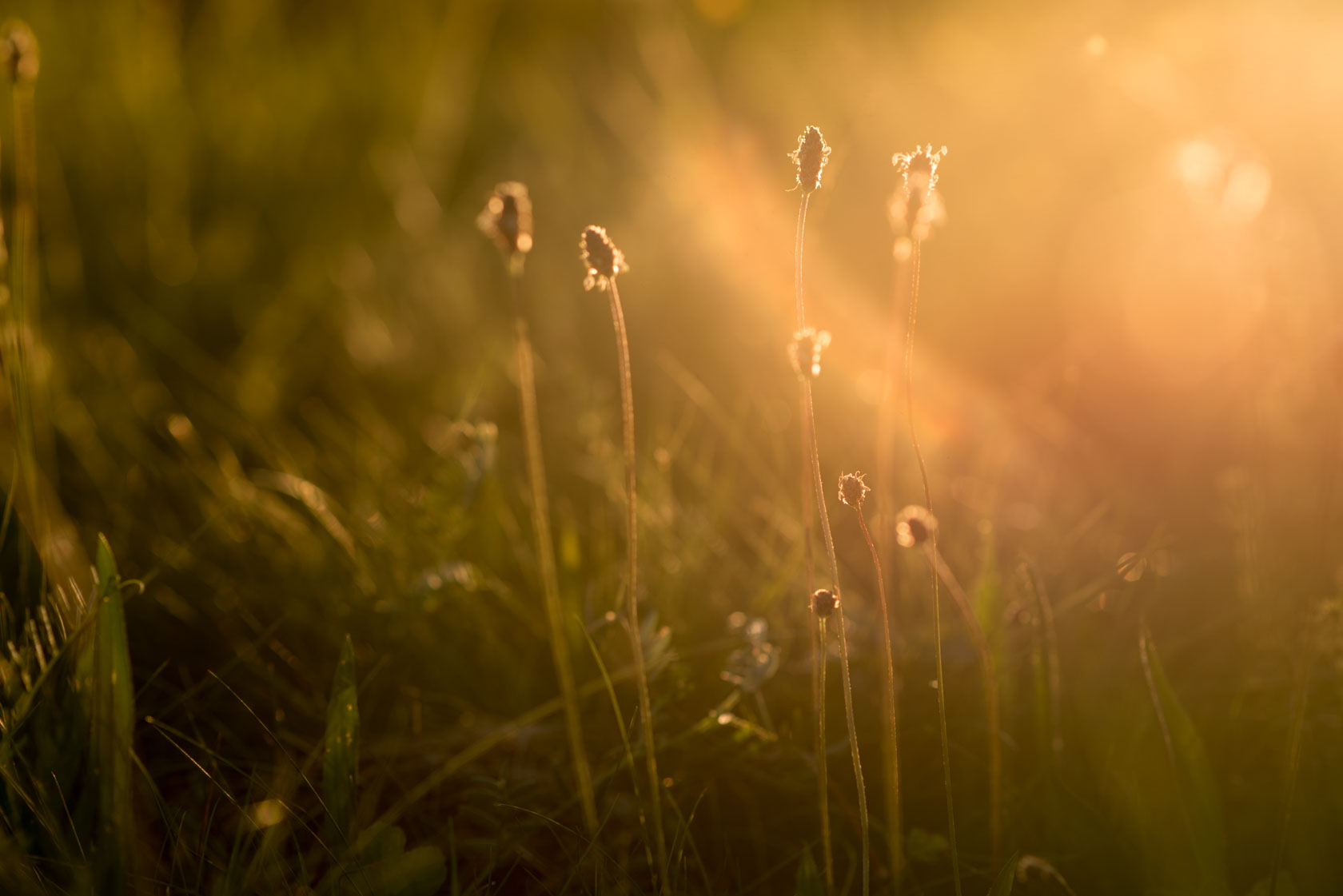 Hochzeit Anika und Holger Scheunenwirtin Bartholomä Hochzeitsfo